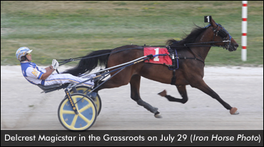 Delcrest Magicstar Wins Delayed Debut
