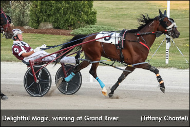 Blazing A Whole 'Nother' Trail