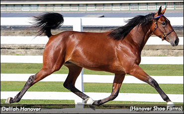 ‘Delilah’ Tops Timonium Opening Session