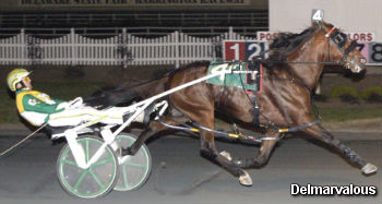 Six Pack Of DSBF Elims At Harrington