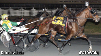 Harrington Also Hosts DSBF Stars
