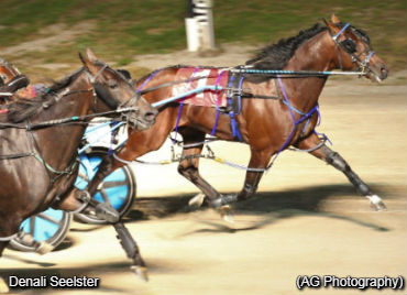 Track Record For Denali Seelster 