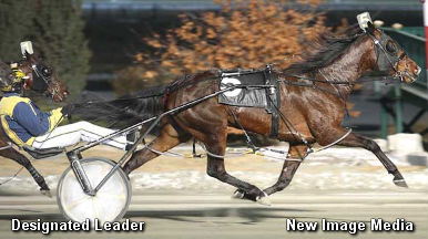 Damsel Pacing Series Underway