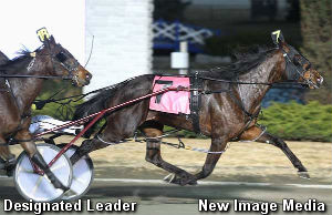 Damsel Title To Designated Leader