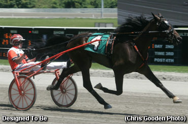 Designed To Be Equals PASS Record