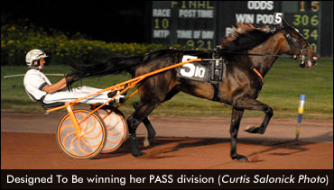 Designed To Be Equals World Record