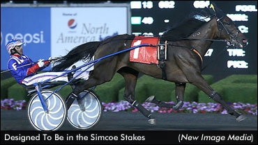 Designed To Be Equals Simcoe Record