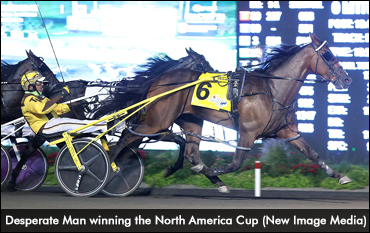 A Tremendous Year For OSS Horses
