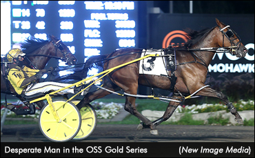 Gold Sweep For Henry, Shadow Play