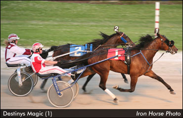 Fate, And A Filly, Have Been Kind To Lagace