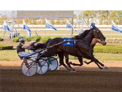 Deweycheatumnhowe Wins Kentucky Futurity