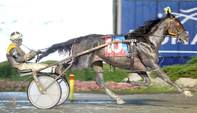 'Dewey' Bounces Back In Cdn. Trotting Classic