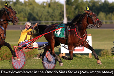 Repeat Winners In Gold Series