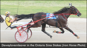 Ont. Star Seeks Grand Circuit Success