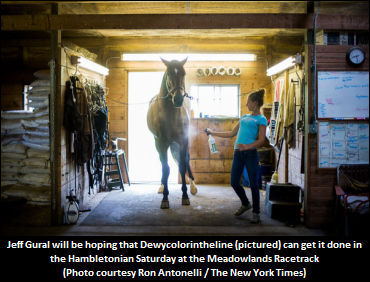 Gural Talks Hambo, Saving Big M