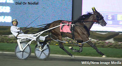 Dial Or Nodial NJSS Horse Of The Year