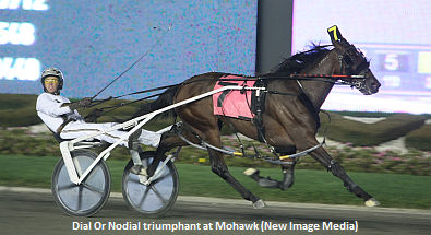 Campbell Discusses 'Dial'