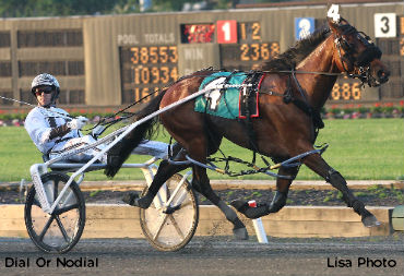 Dial Or Nodial Heads NJ Classic Field