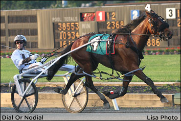 Dialed In For The Breeders Crown