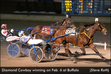 Diamond Cowboy Shines In Open Pace