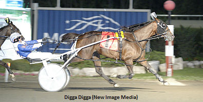 Easter Surprise For Fromowitz