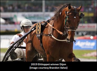 Elitloppet Winner To International Trot?