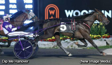 Stage Set For Peaceful Way Final