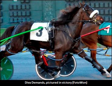 Trainer Enjoys The ‘Diva’ Act