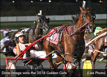 Divas Image Sold, Retired