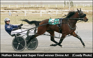 Sobey's "Wicked" Dream Season