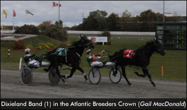 Dixieland Band Repeats In Sires Stakes
