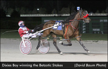 Dixies Boy Cruises In Betzotic Stakes