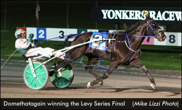 Domethatagain Takes Levy Title