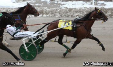 Hat Trick For Don Mcwhite