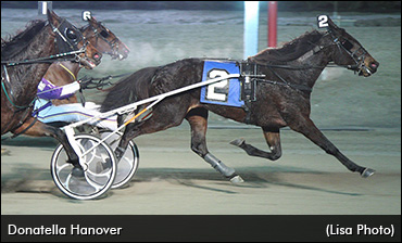 Family Love For Trotting Filly