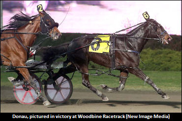 Rekila-Trained Pacer Getting Over EPM