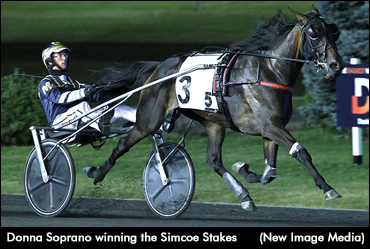 Donna Soprano Strikes In Simcoe