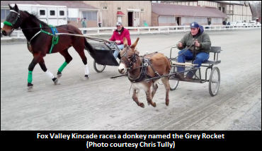 Impromptu S-Bred Vs. Donkey Showdown