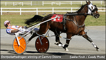 Campbells Sweep Century Opens