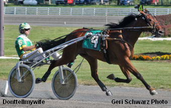 Donttellmywife Headlines NYSS Trots