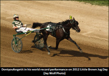 Takter On His Top Two Hambo Prospects