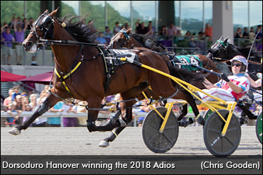 Adios To Dorsoduro Hanover