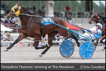 PASS Upset For Dorsoduro Hanover