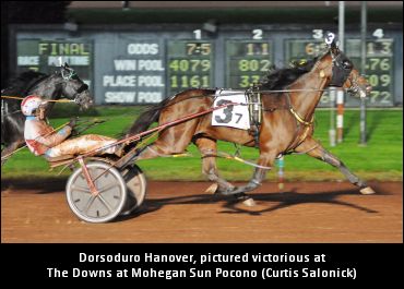 ‘Dorsoduro’s Work Cut Out In Progress