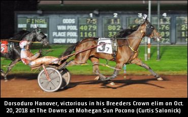 Kakaley Confident Heading Into The ‘Crown’ With ‘Dorsoduro’