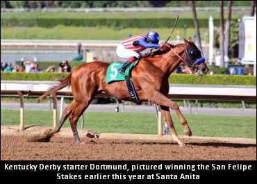 From Blue Bonnets To Bluegrass