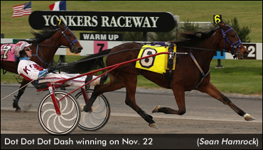 Dot Dot Dot Dash Upsets Open Trotters