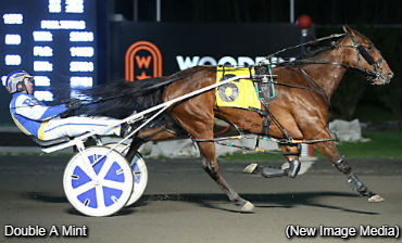 Six Straight For Double A Mint