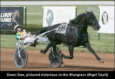 Dover Dan To Stand Stud In 2018