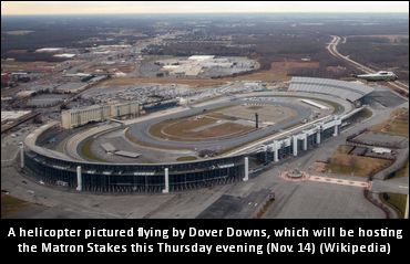 Trainers On Dancin Lou, Gimpanzee